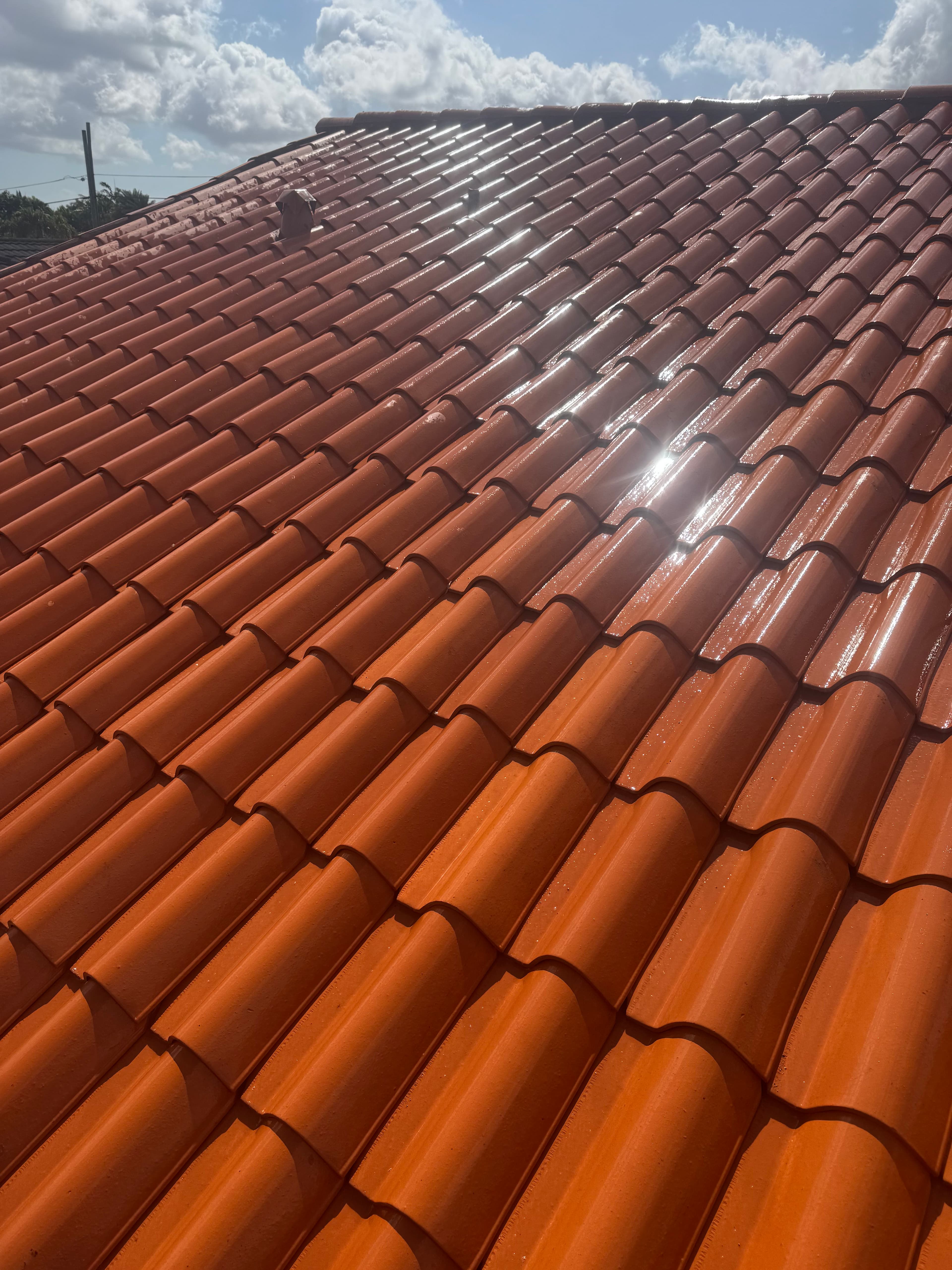 Project Drone Softwash Brilliance image