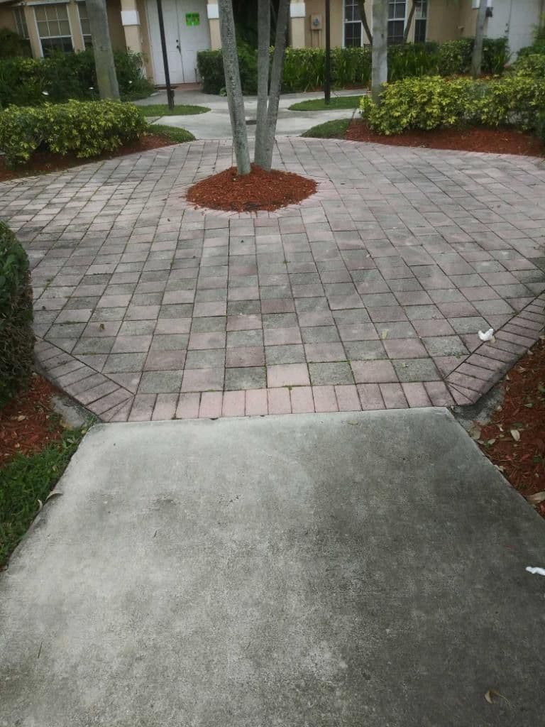 Sidewalk and Concrete Cleaning in Lakes by the Bay image