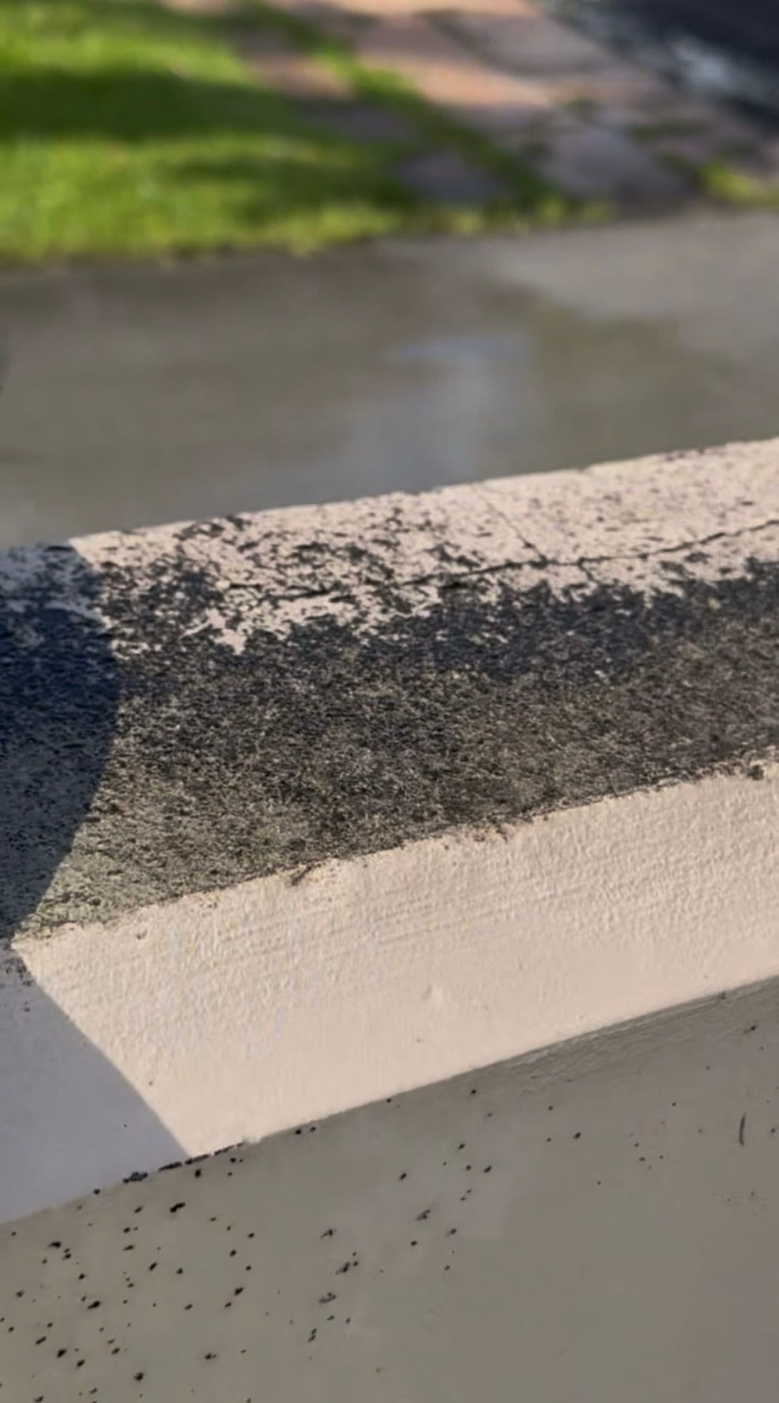 Gallery photos for Cleaning a Full Mile of City of Tamarac Containment Wall: Image #2