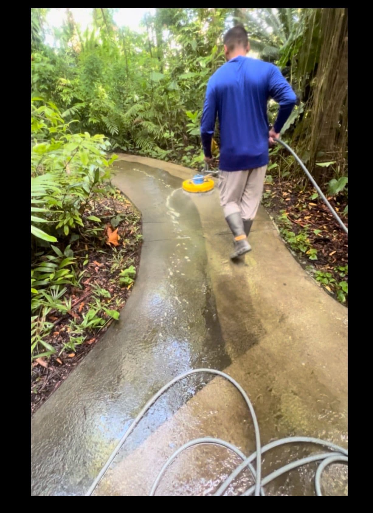 Magical Garden Path Transformation with Sidewalk Cleaning image