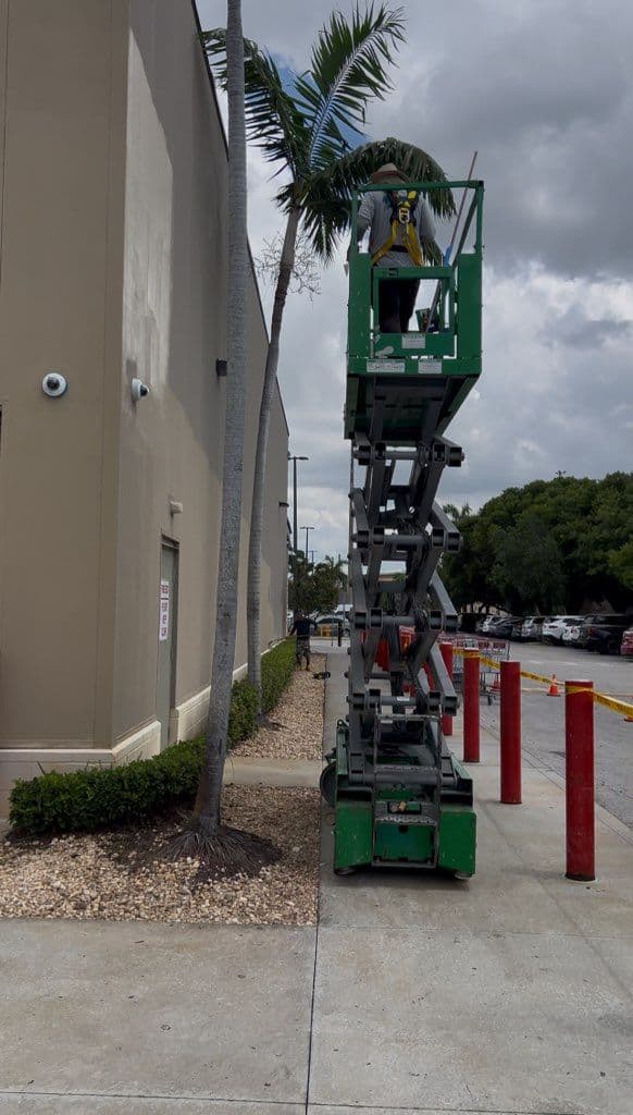 Gallery photos for Transforming Miami's Costco with Fresh Paint: Image #1