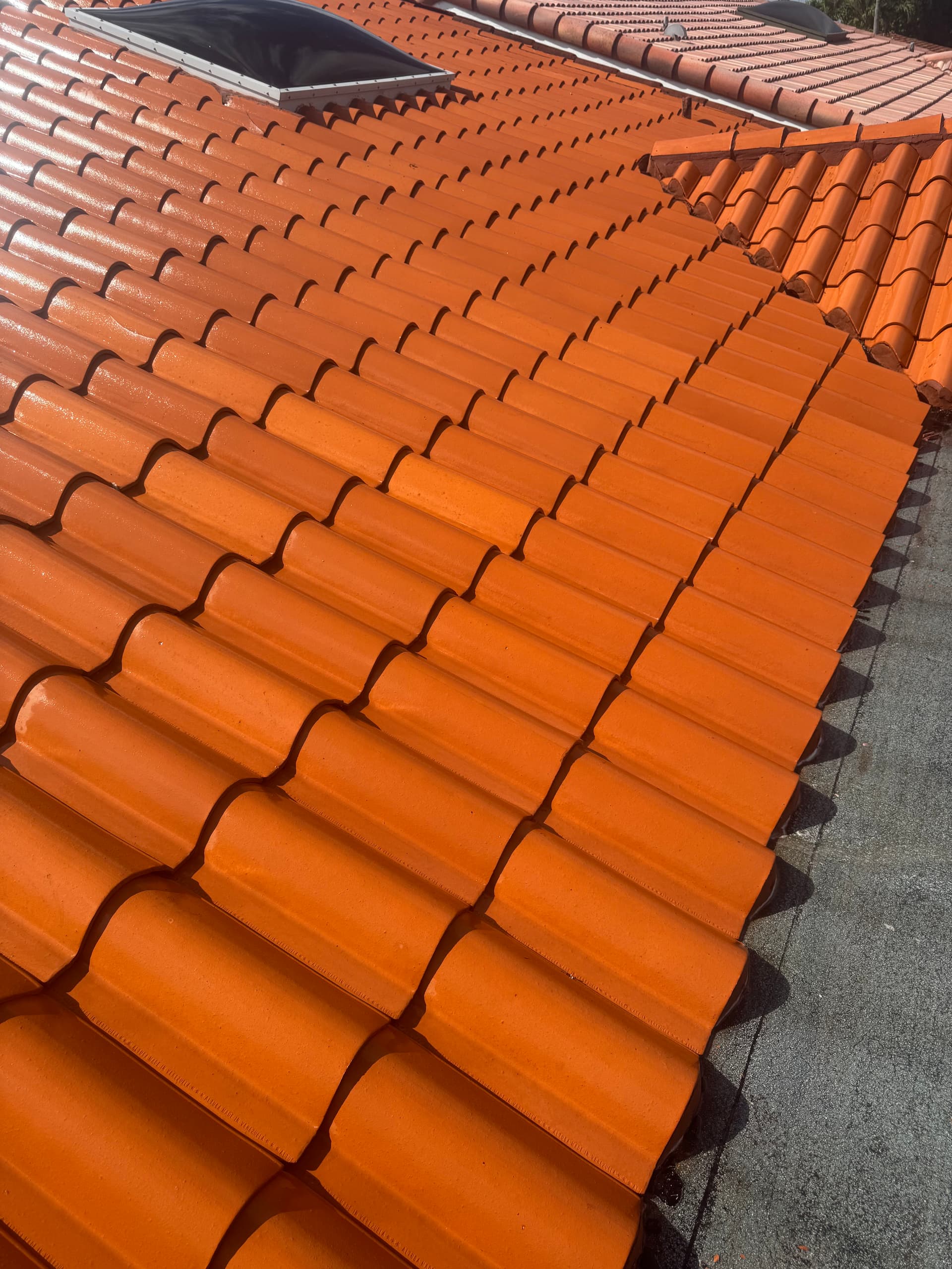 Gallery photos for Drone Softwash Brilliance: Image #3