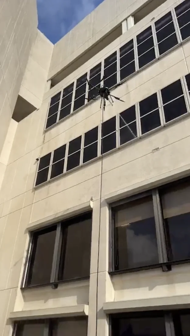 Building and window washing at Bascom Palmer.