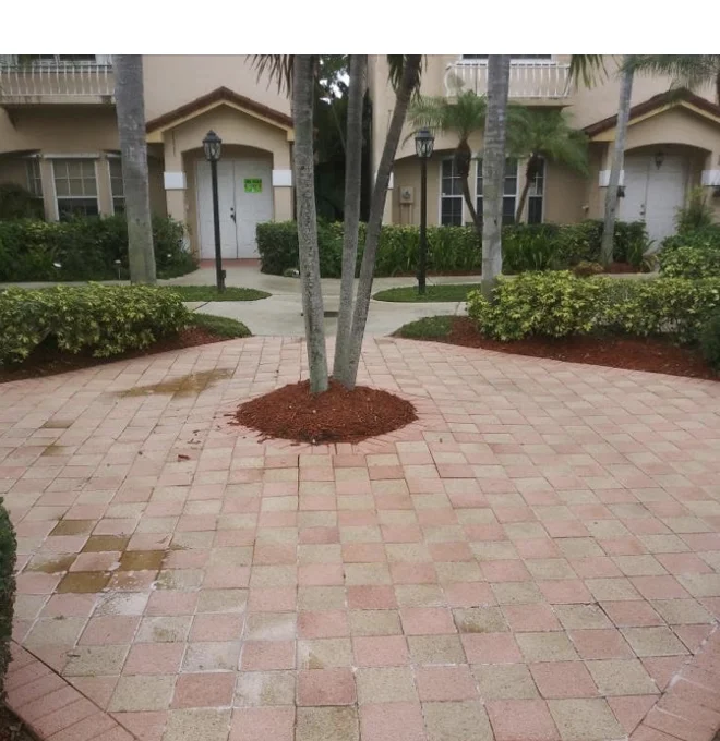 Paver restoration in Cutler Bay.