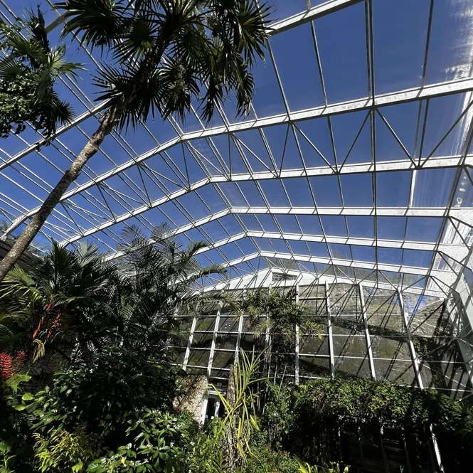 Overhead enclosure structure above plants and palms in the Fairchild butterfly garden