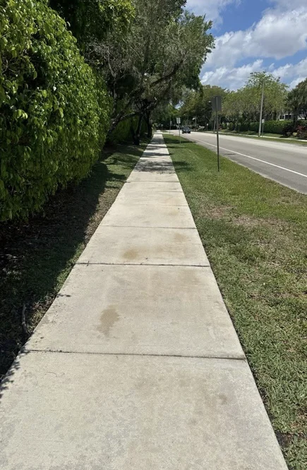Cleaned sidewalk beside a landscaped roadside in Tamarac